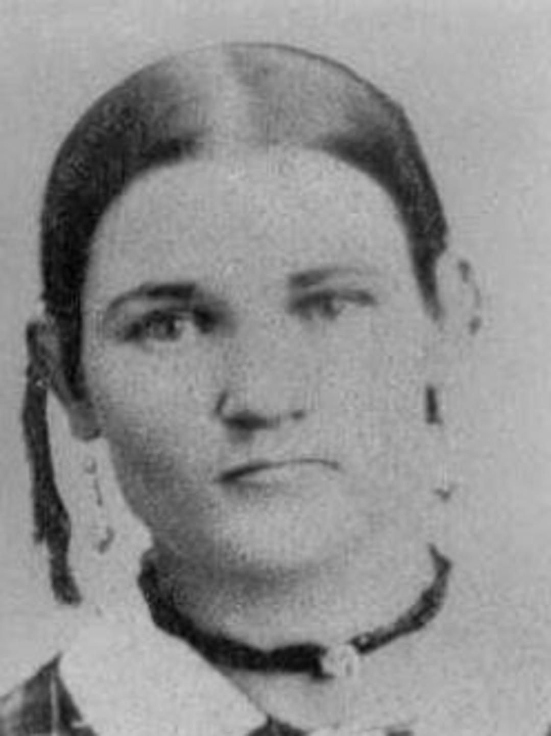 Anne Quarmby (1842 - 1904) Profile
